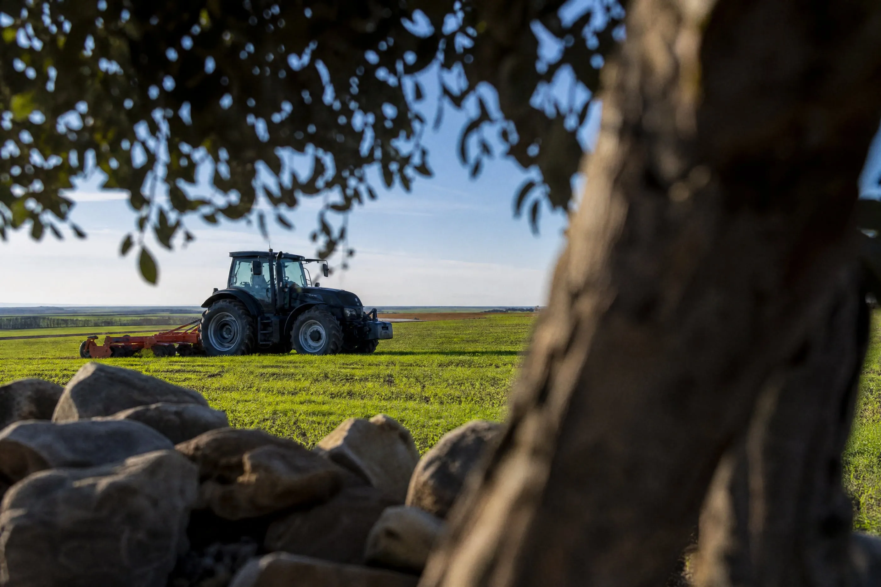 Un tractor con un apero en un campo verde, visto entre un árbol y un muro de piedra
